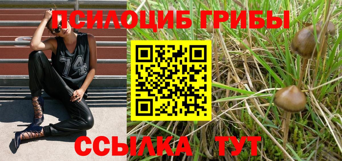 Котлас  Мефедрон  Cocaine  Вход с VPN  ГАШИШ  Меф   Alpha PVP СОЛЬ кристаллы 