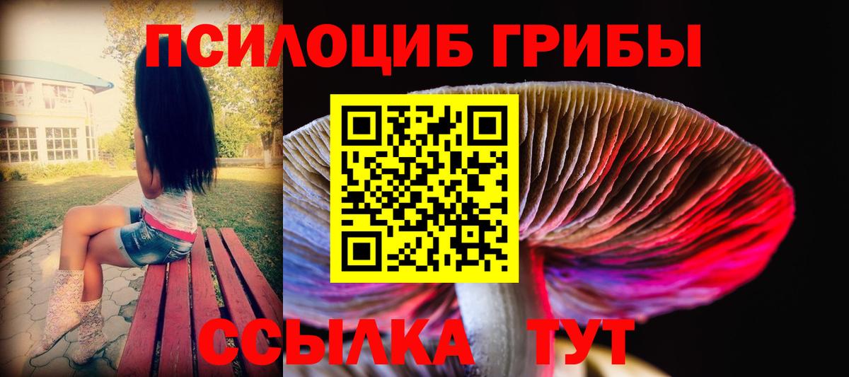 Котлас  Псилоцибиновые грибы Cubensis  Вход с VPN  Галлюциногенные грибы MAGIC MUSHROOMS 